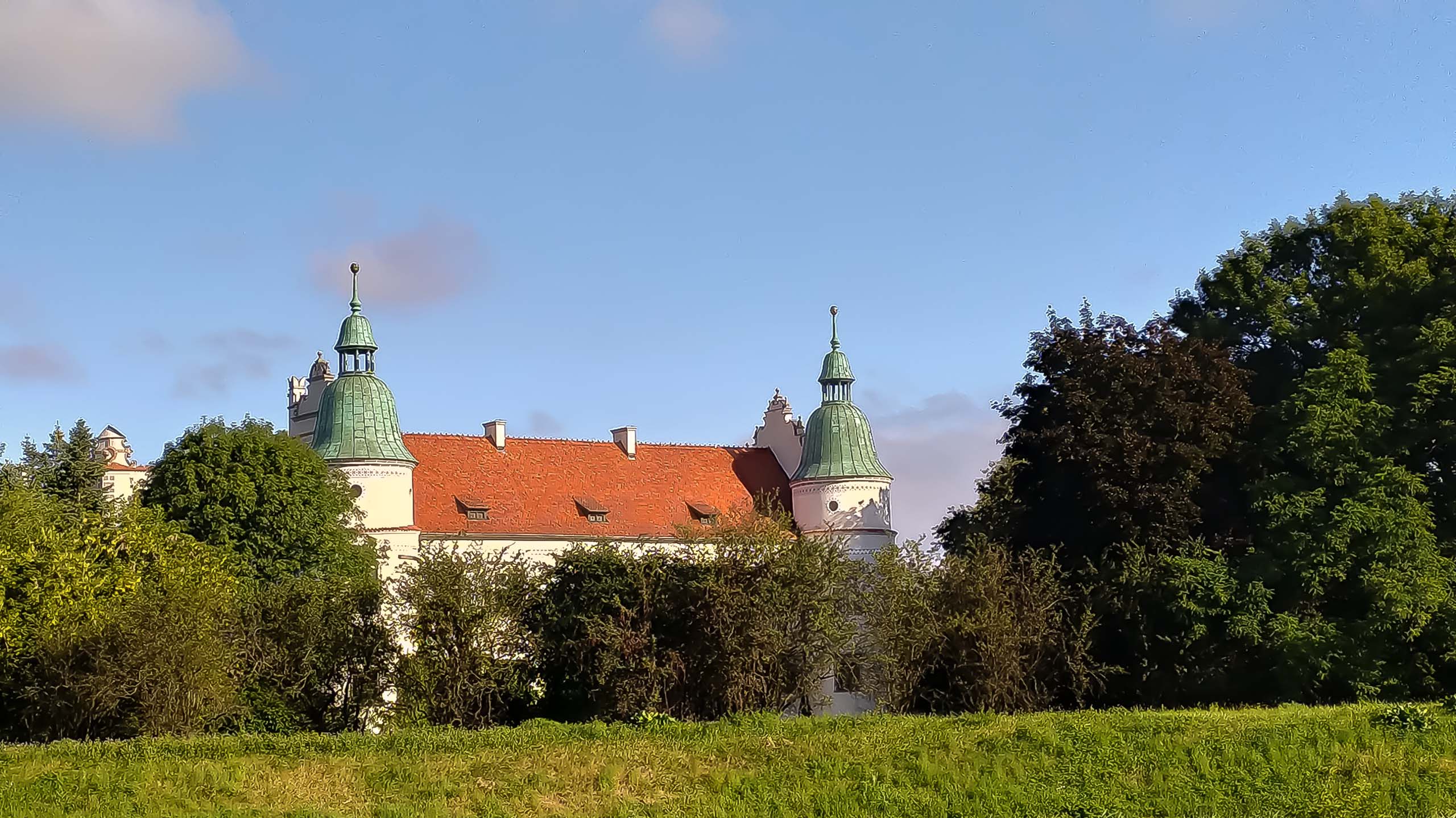 IMG 20200801 074637 kopia